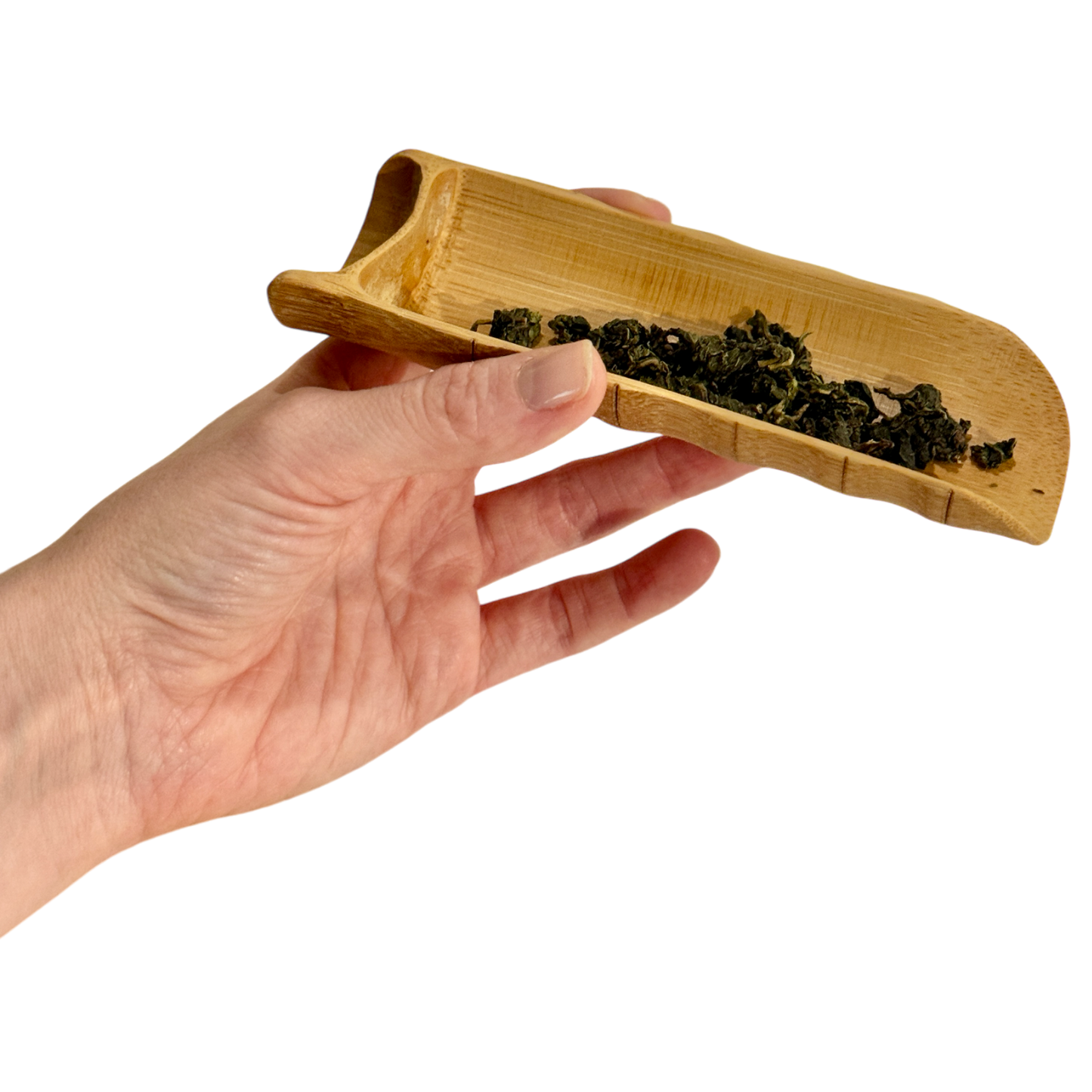 Bamboo Tea Scoop, Large