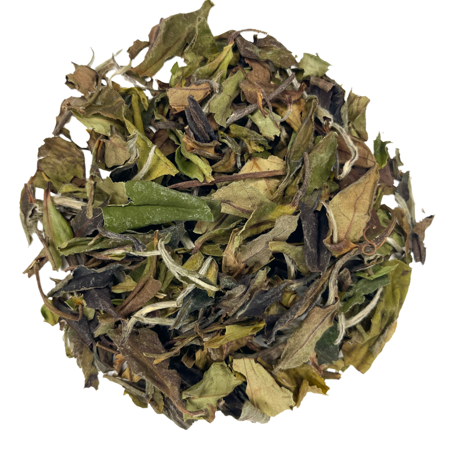White Peony (Bai Mu Dan) - 1 oz