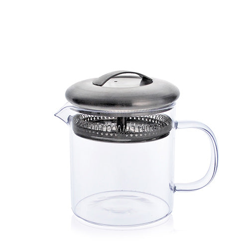 Glass Cup with Stainless Steel Strainer 14oz